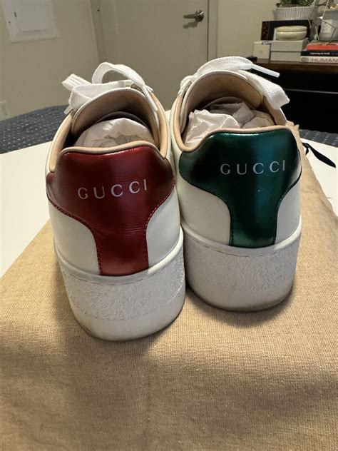 ace gucci original.